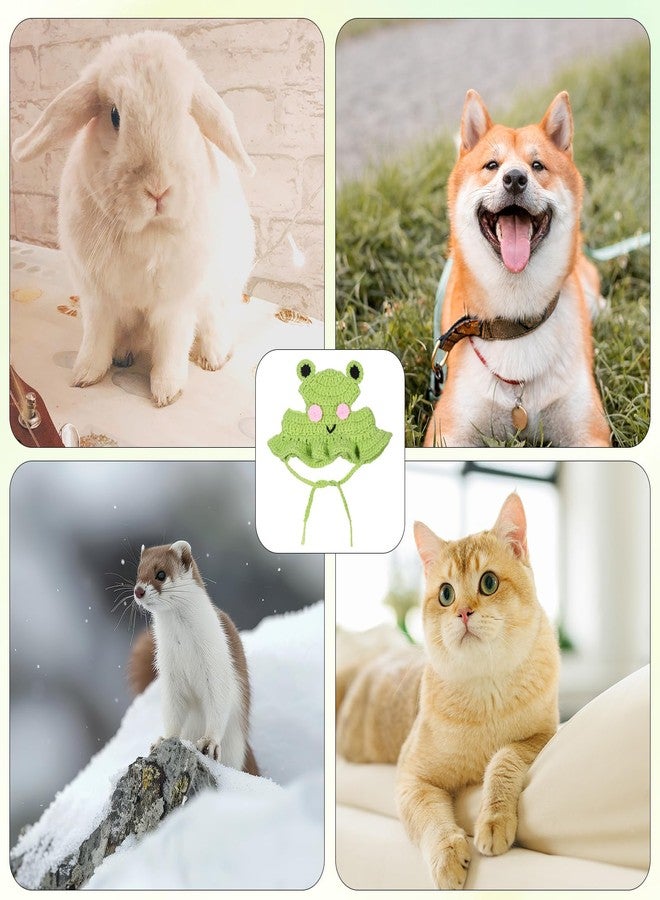 Zelphvt 1 PCS Cat Hat Cute Frog Shape Pet Cap Frog & Flower Cats Hat Cotton & Soft Cute Knitted Cats Hats Cutes Knitted Cat Costume for Small Pets (Green, M) - Image 5